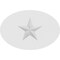 Ekena Millwork Standard Dalton Star Rosette With Square Edge, 3"W x 2"H x 1"P ROSP030X020X100DAL06 - alternate 3
